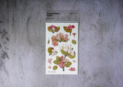 Appree Pressed Flower Stickers - Apple Blossom