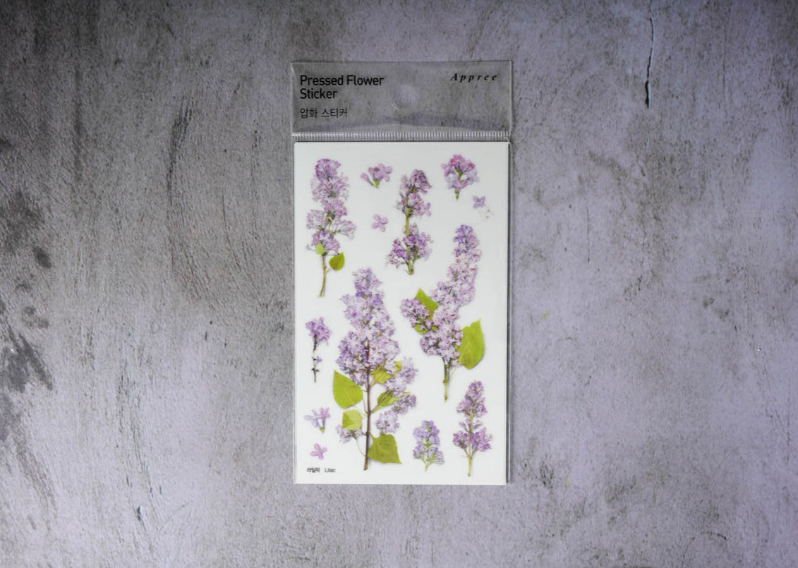 Appree Bigleaf Hydrangea | Pressed Flower Sticker