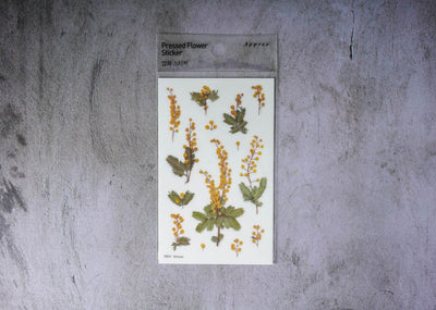 Appree Pressed Flower Stickers - Mimosa