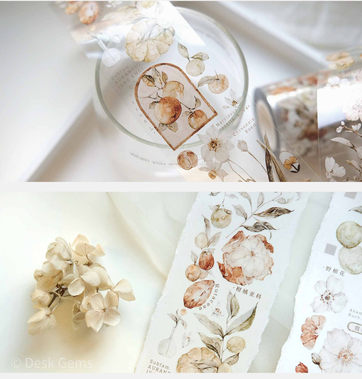 Freckles Tea Vol.3  Pure White Series Tape - Tangerine