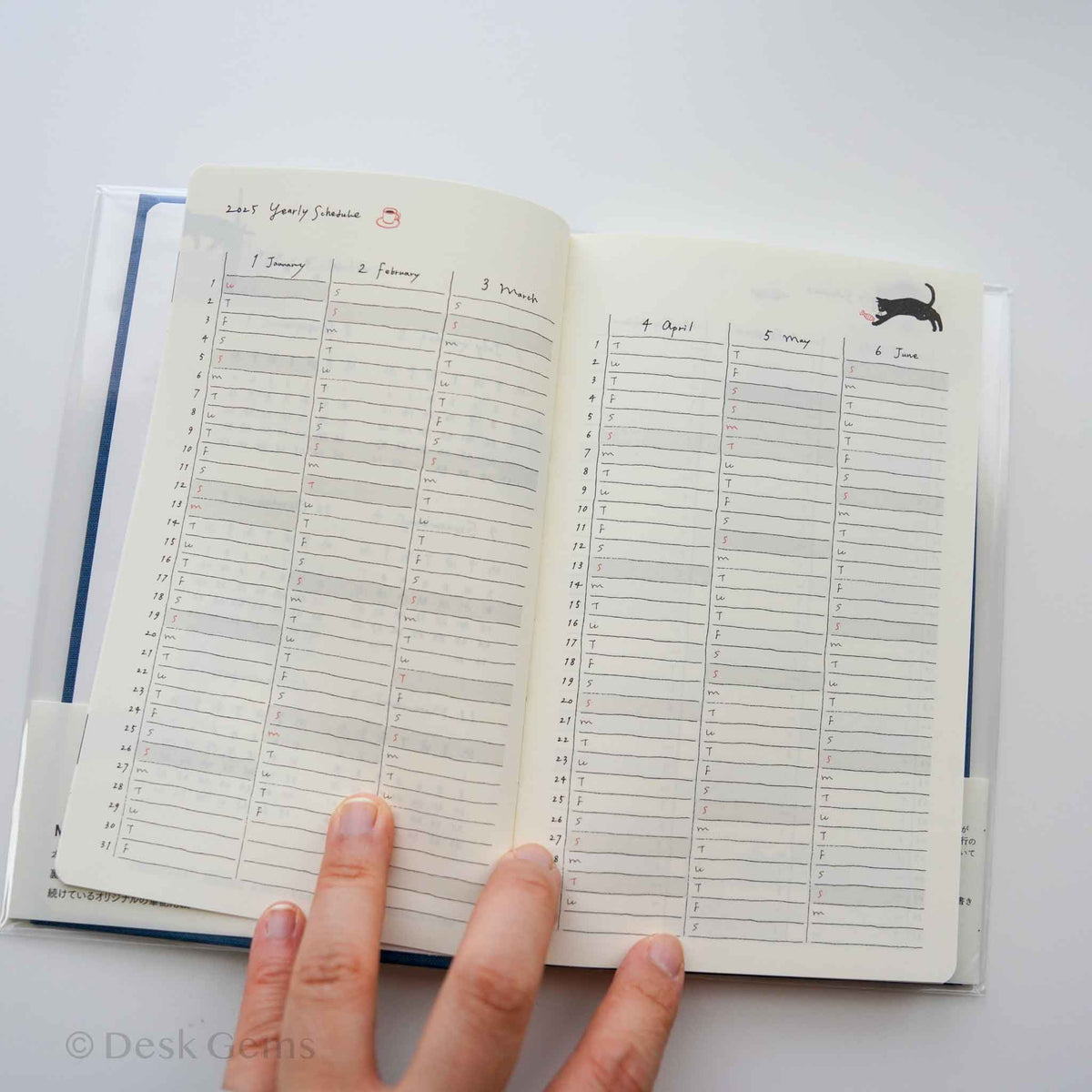 MD Diary Book 2025 - Cat