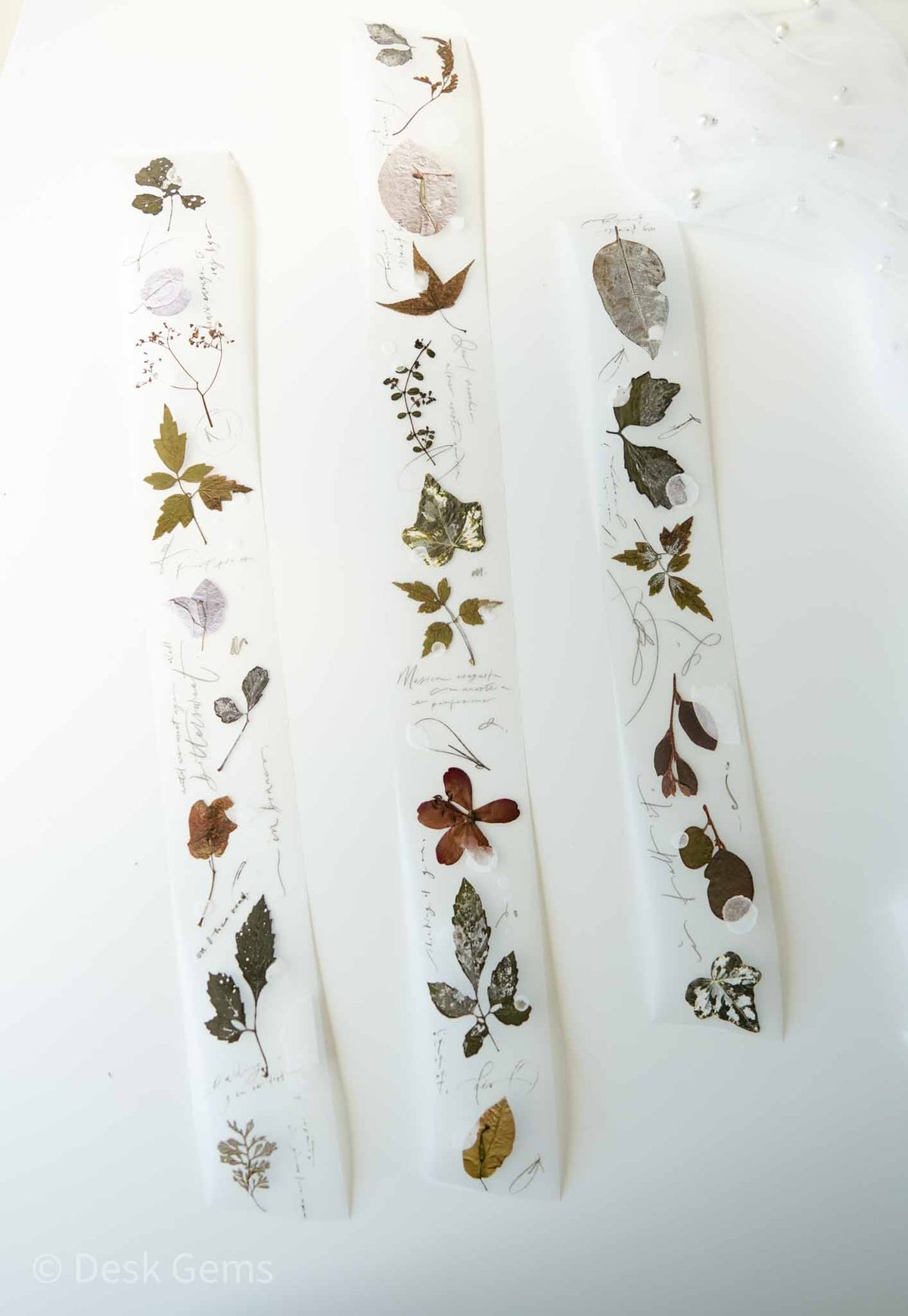 Mr. Eggplant Original PET Tape  - Old Leaves