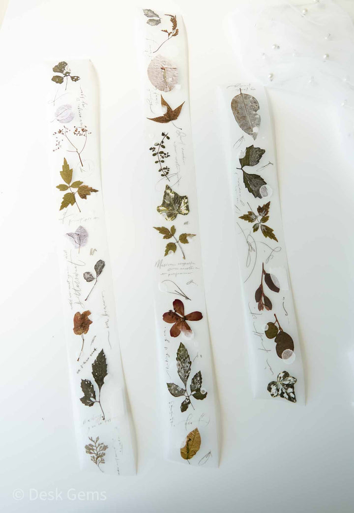 Mr. Eggplant Original PET Tape  - Old Leaves