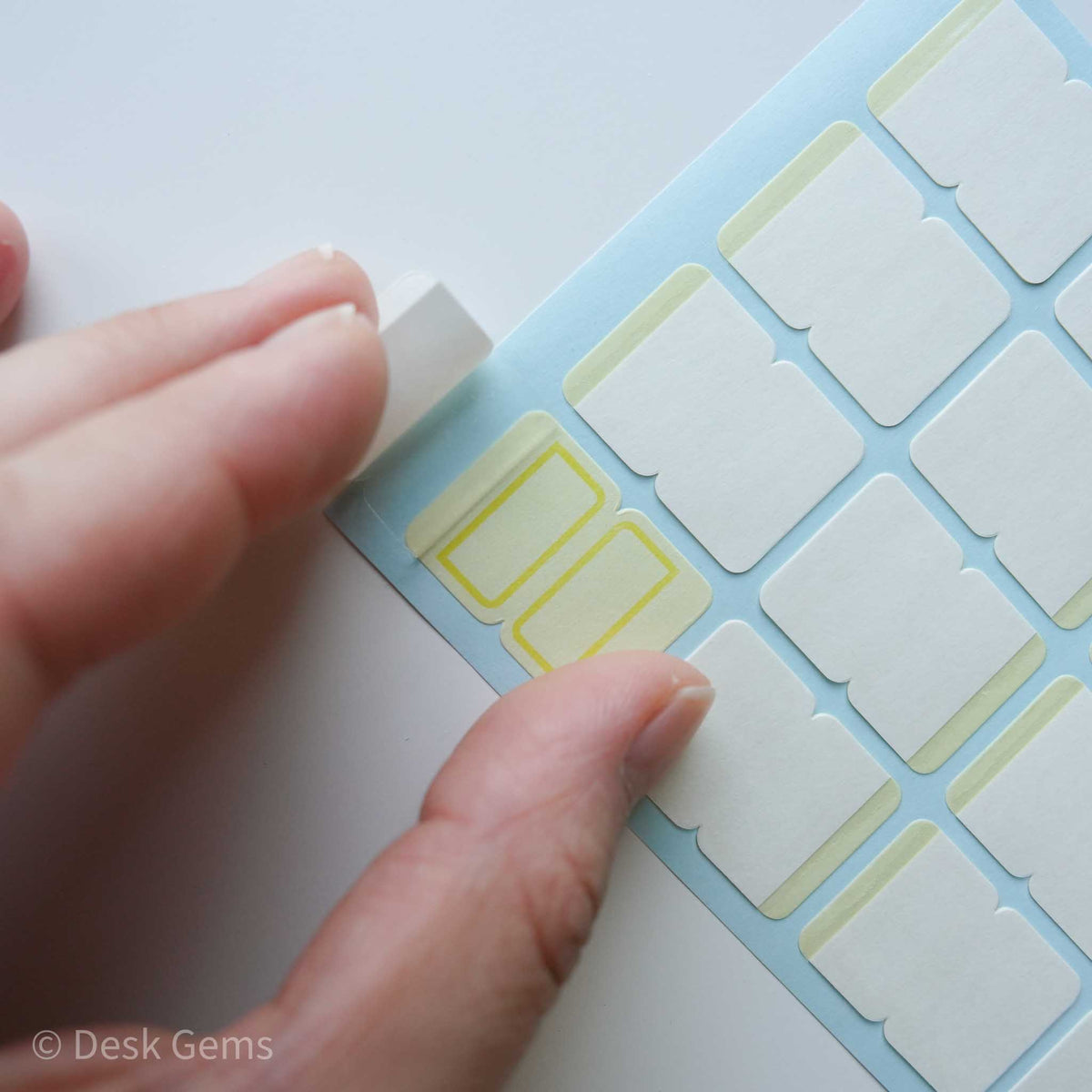 Laminated Index Tabs - Color Tabs (Medium)