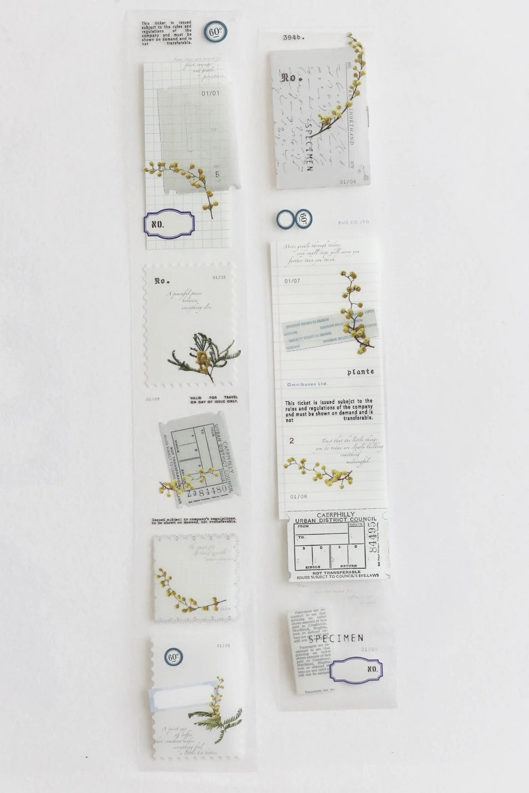 NYRET Design Original PET Tapes - Mimosa (X)