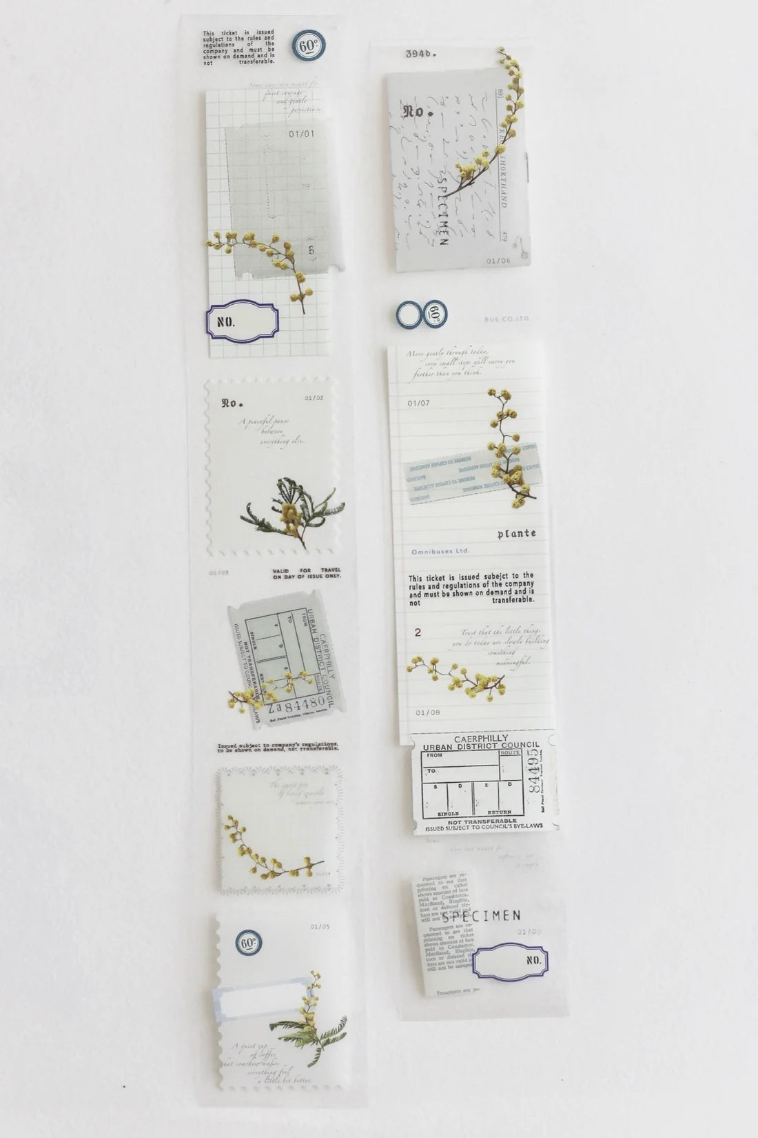 NYRET Design Original PET Tapes - Mimosa (X)