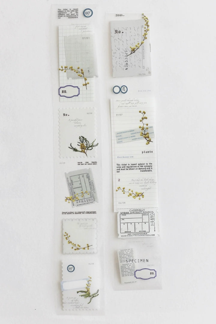 NYRET Design Original PET Tapes - Mimosa (X)