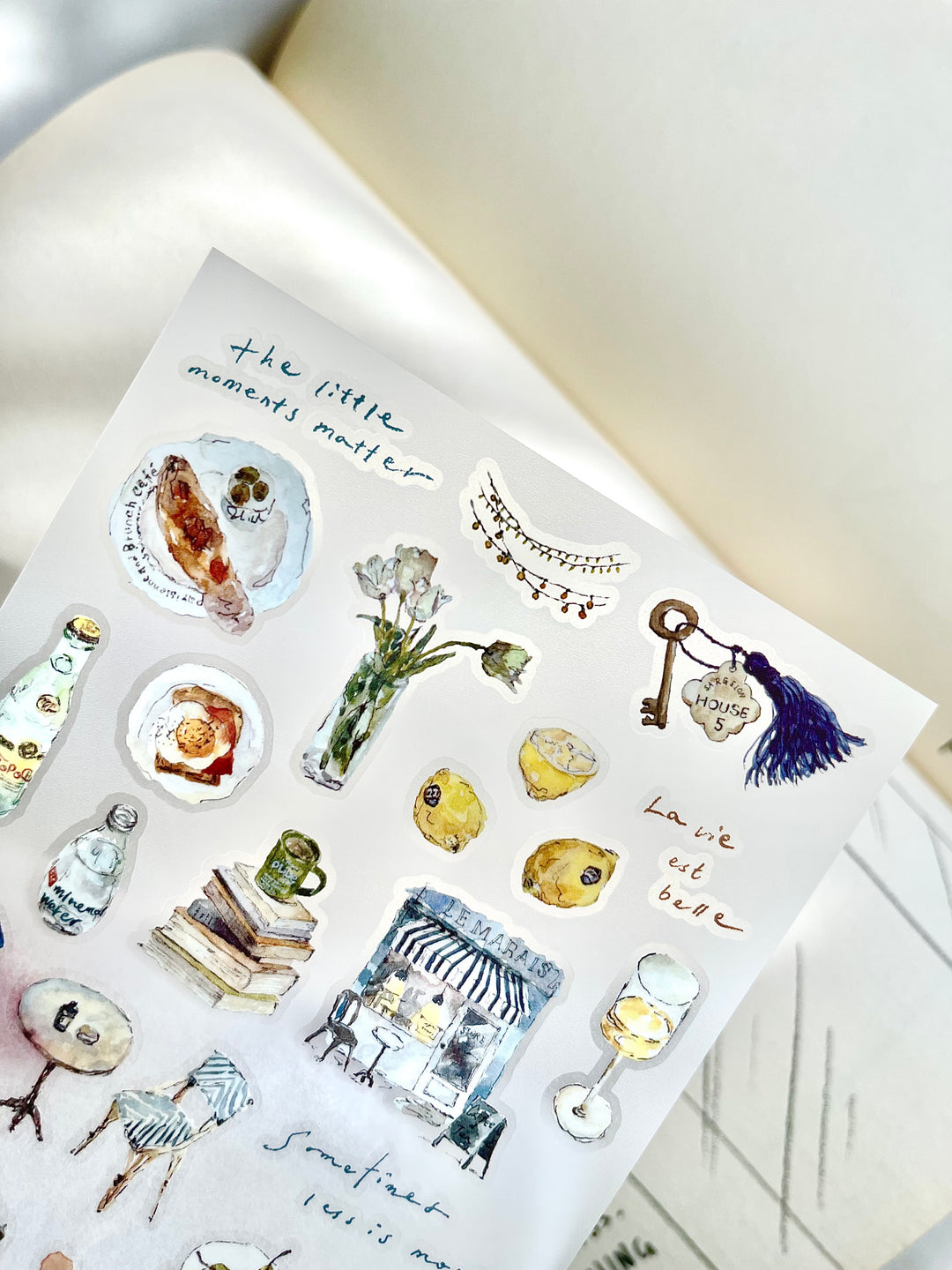 Pion Transfer Stickers - Chill 2