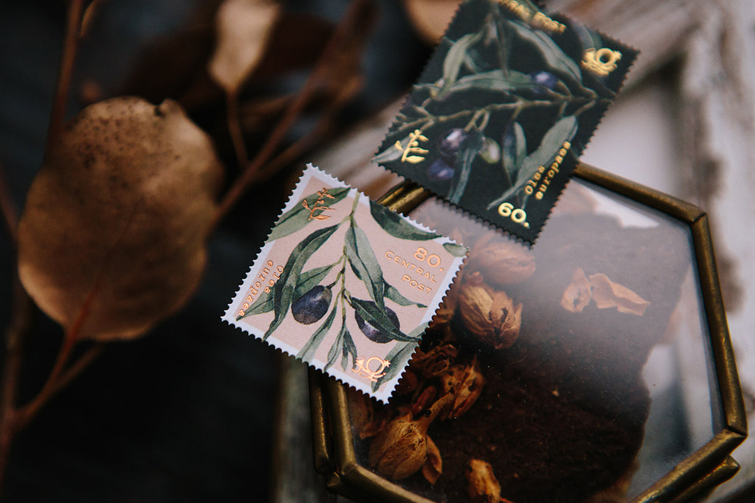 OURS Olive Branches Stamp Sticker 