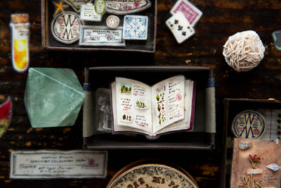 OURS Desk of a Botanist PET Tape