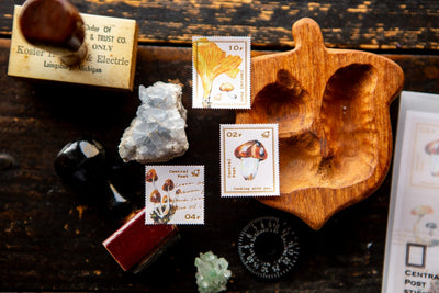 OURS Mushroom Recipe Stamp Sticker