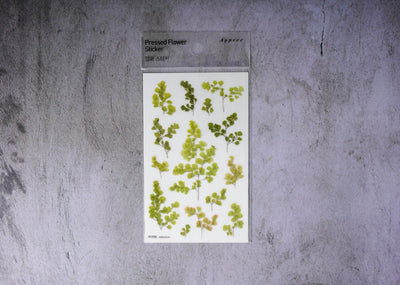Appree Pressed Flower Stickers - Adiantum