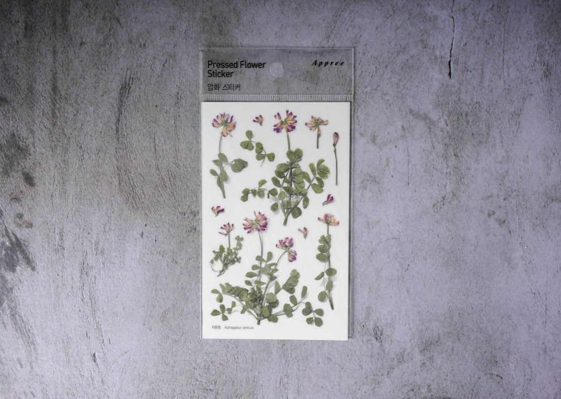 Appree Pressed Flower Stickers - Astrgalus sinicus