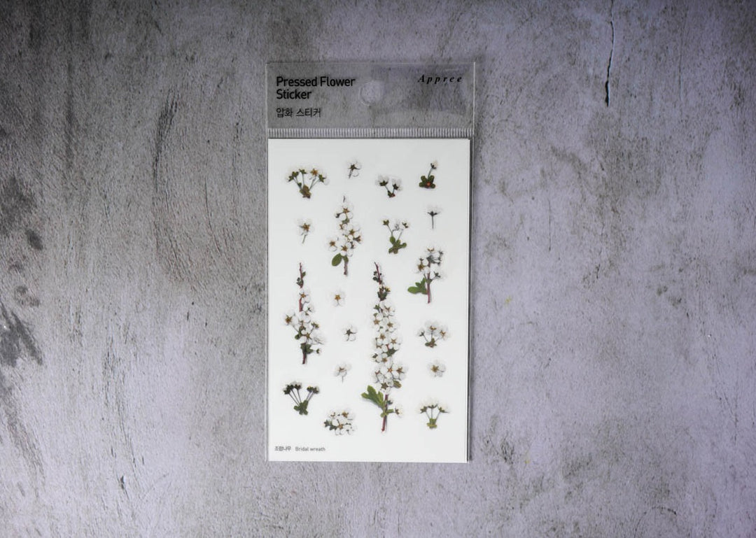 Appree Pressed Flower Stickers - Bridal Wreath