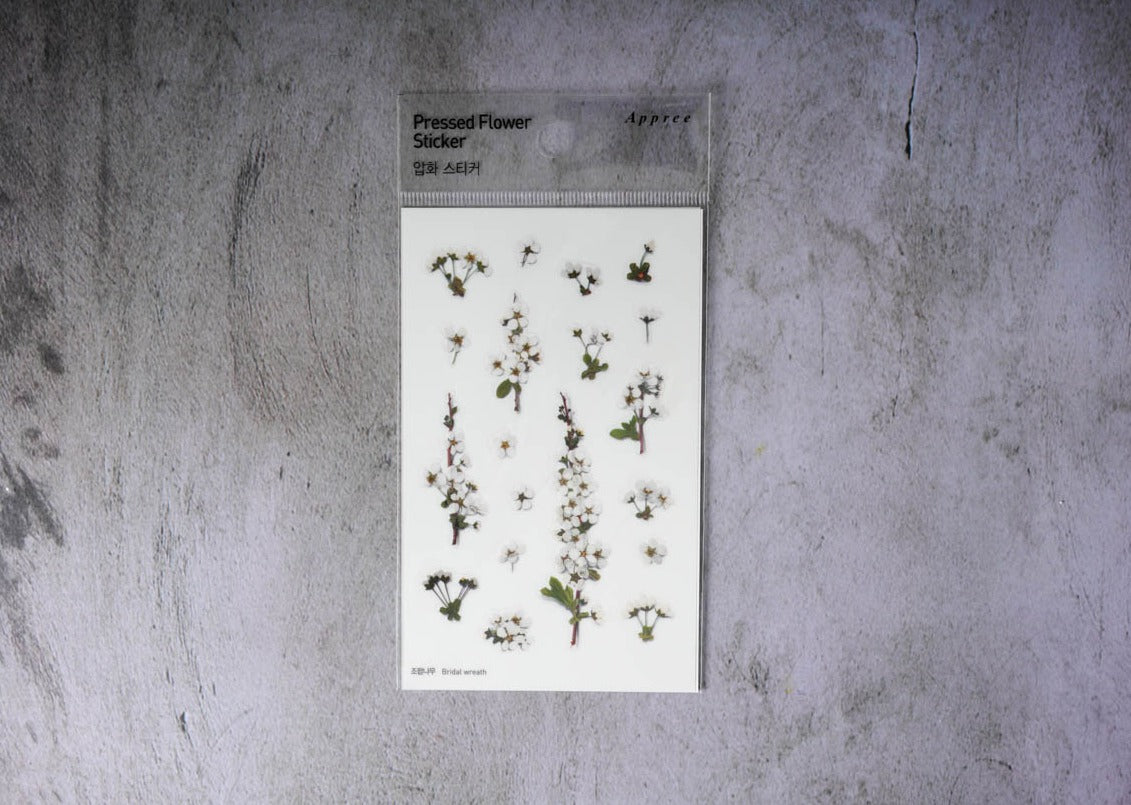 Appree Pressed Flower Stickers - Bridal Wreath