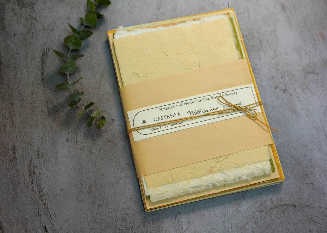 Handmade Paper Bundle