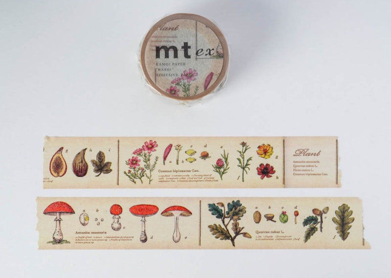MT Washi Tape - Encyclopedia Plants
