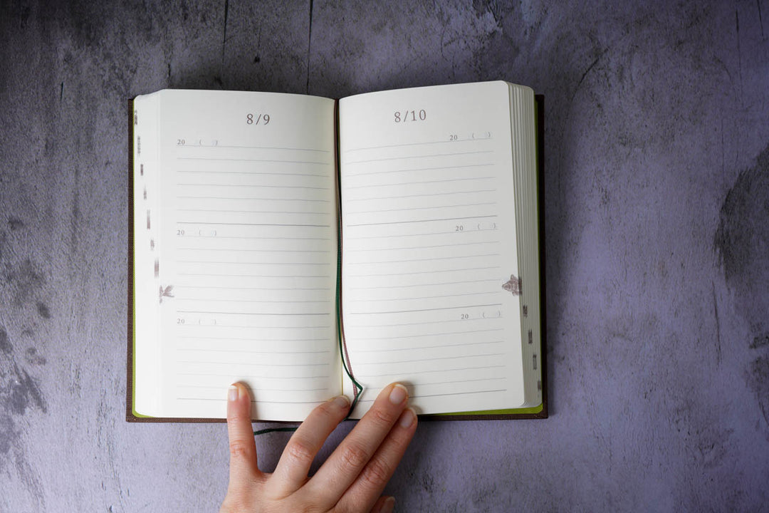 Midori 3 Year Diary