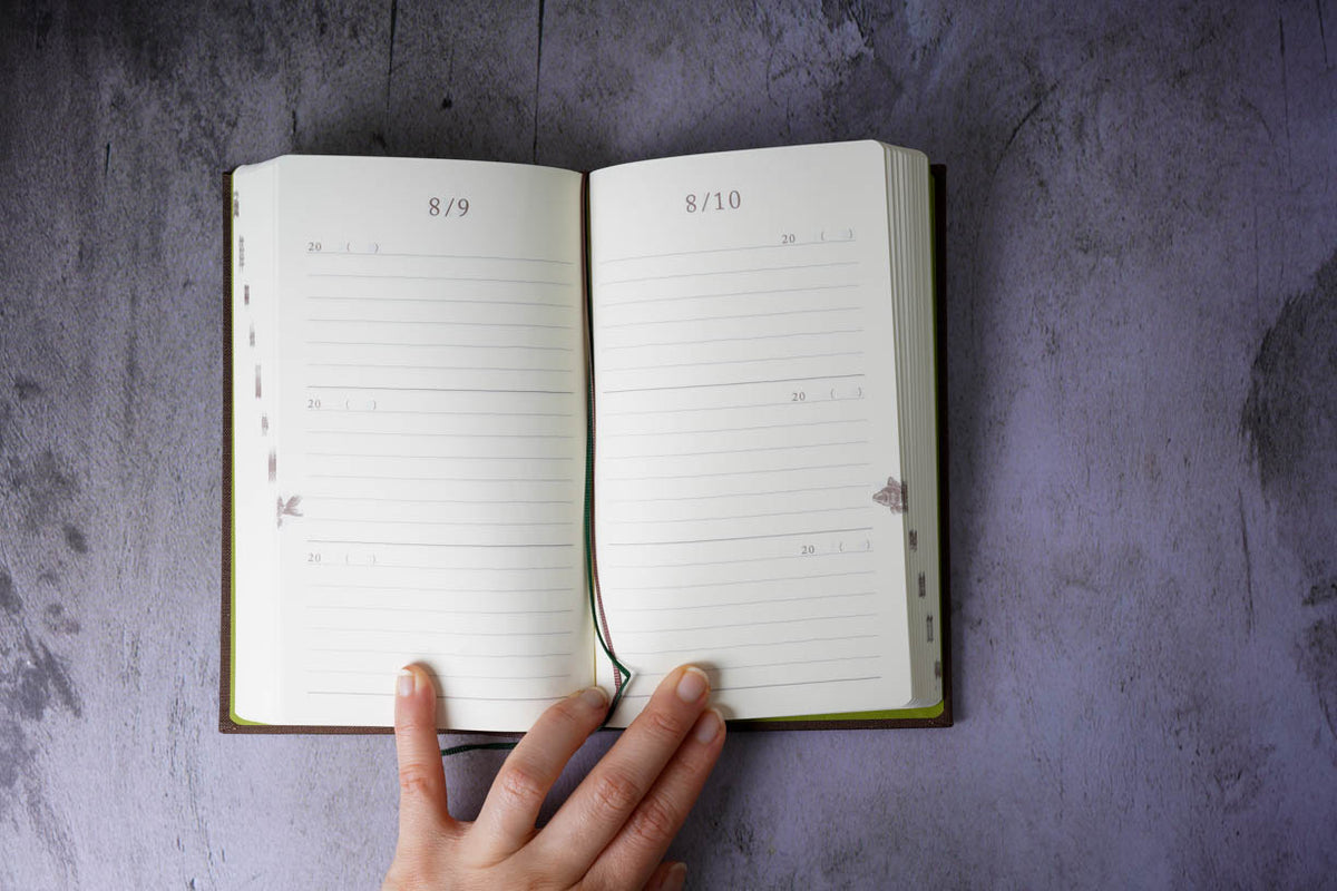 Midori 3 Year Diary