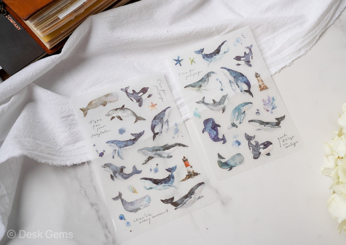 Pion Transfer Stickers - Whales 