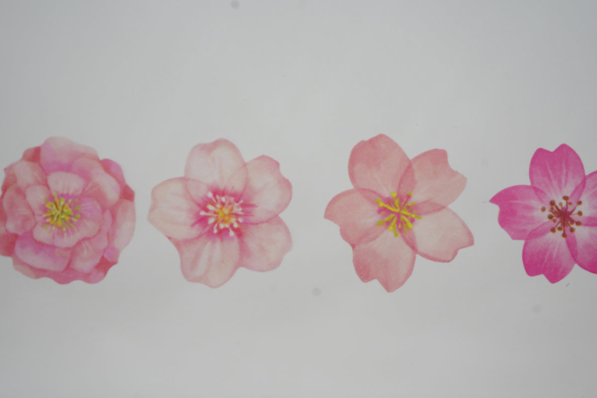 Mind Wave Sakura Chigi Sticker Roll