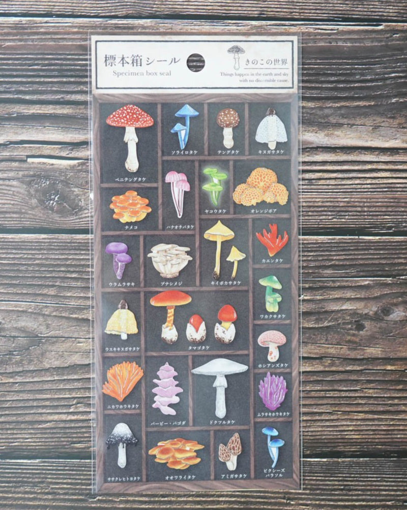 Mind Wave Specimen Box Seal - World of Mushrooms 
