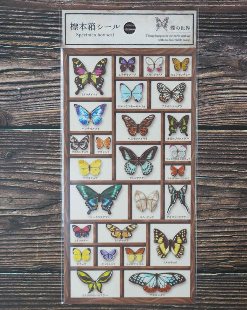 Mind Wave Specimen Box Seal - World of Butterflies