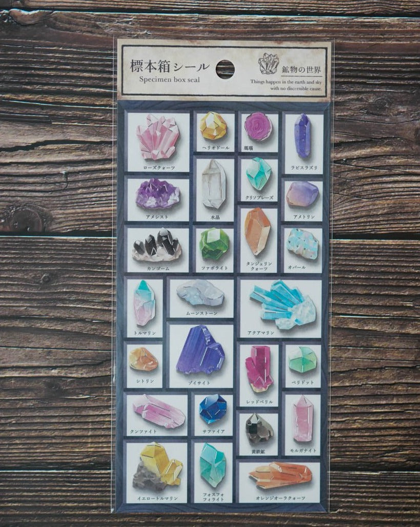 Mind Wave Specimen Box Seal - World of Minerals