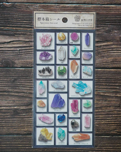 Mind Wave Specimen Box Seal - World of Minerals