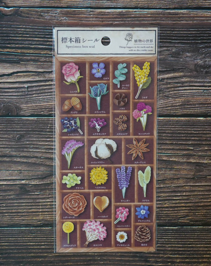 Mind Wave Specimen Box Seal - World of Plants