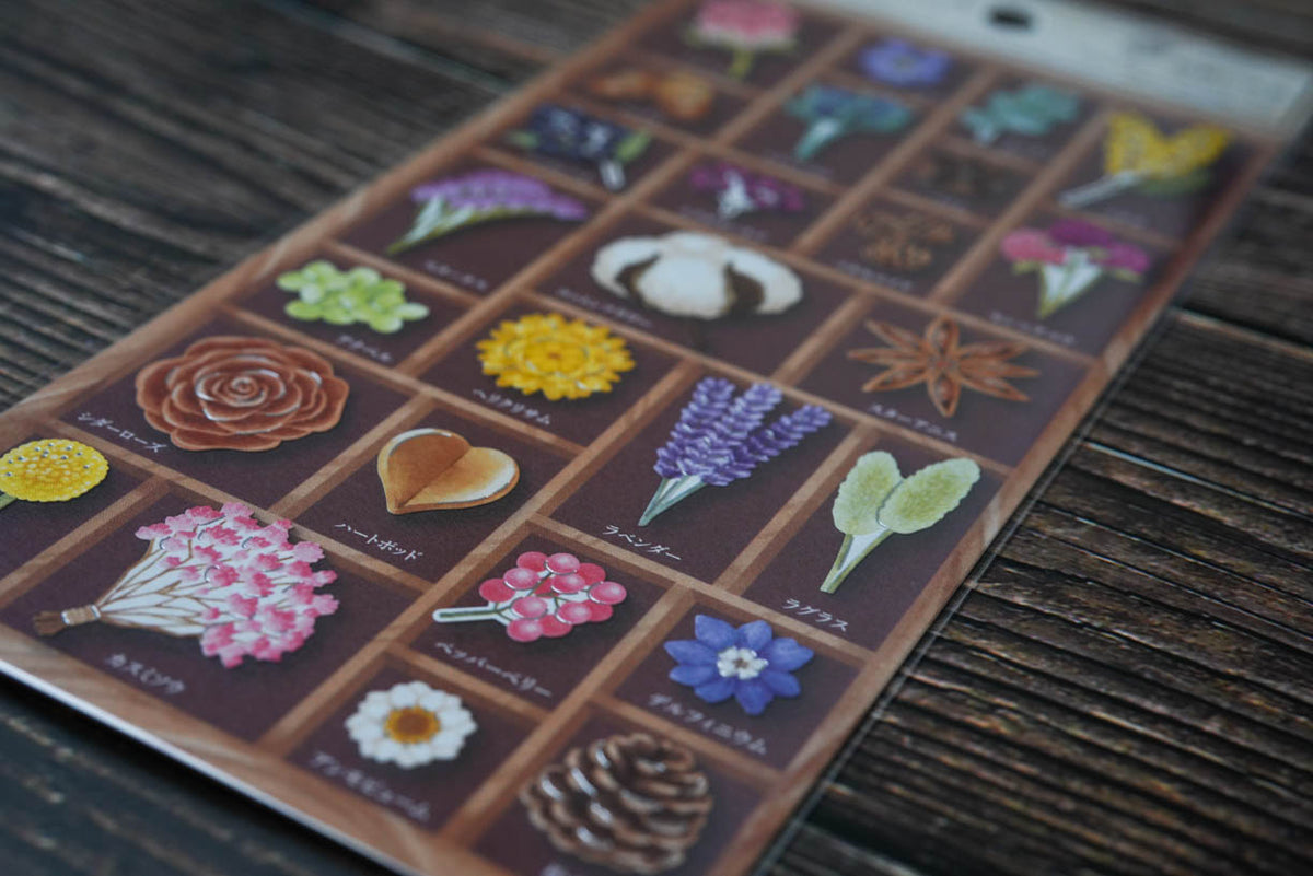 Mind Wave Specimen Box Seal - World of Plants