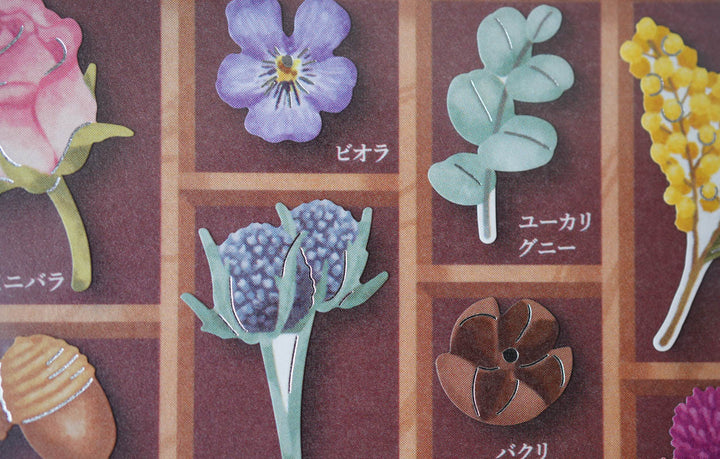 Mind Wave Specimen Box Seal - World of Plants