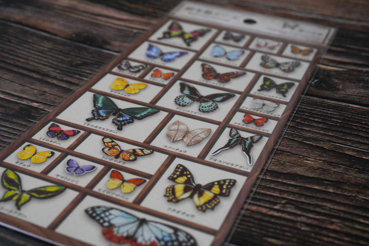 Mind Wave Specimen Box Seal - World of Butterflies