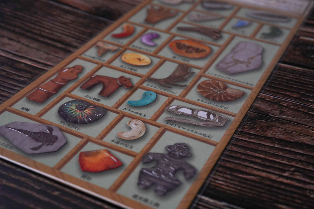 Mind Wave Specimen Box Seal - World of Fossils