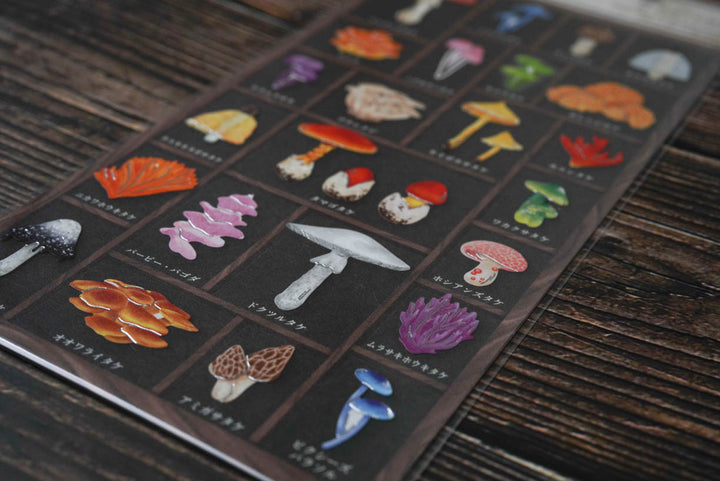 Mind Wave Specimen Box Seal - World of Mushrooms