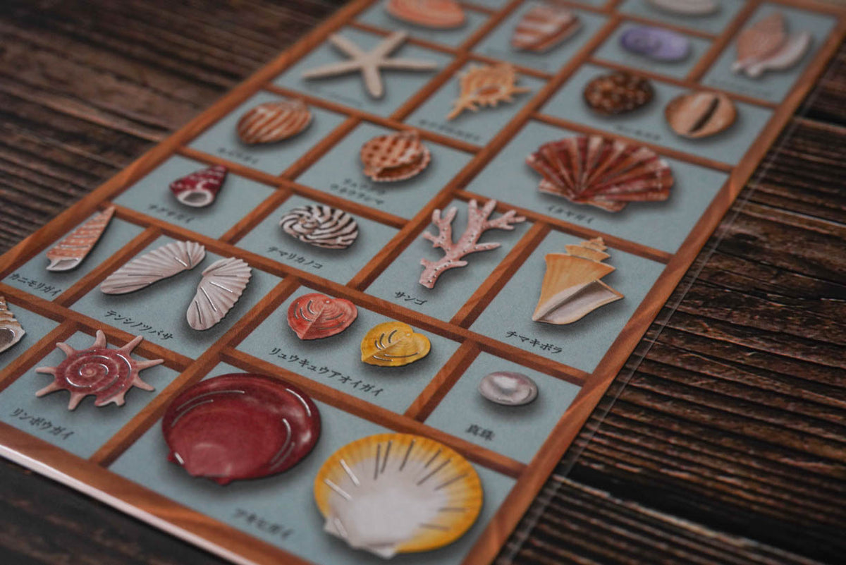 Mind Wave Specimen Box Seal - World of Seashells