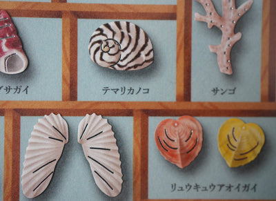 Mind Wave Specimen Box Seal - World of Seashells