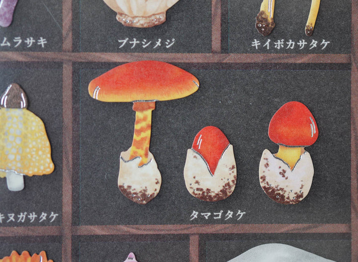 Mind Wave Specimen Box Seal - World of Mushrooms
