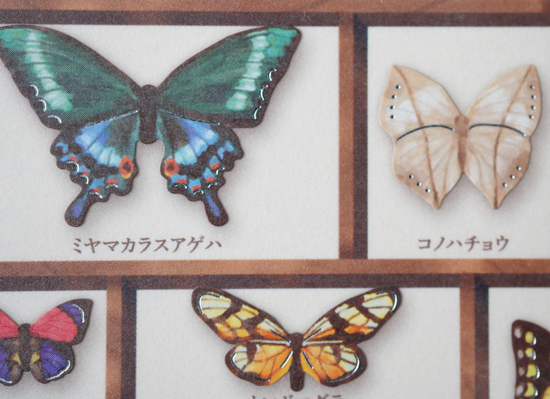 Mind Wave Specimen Box Seal - World of Butterflies
