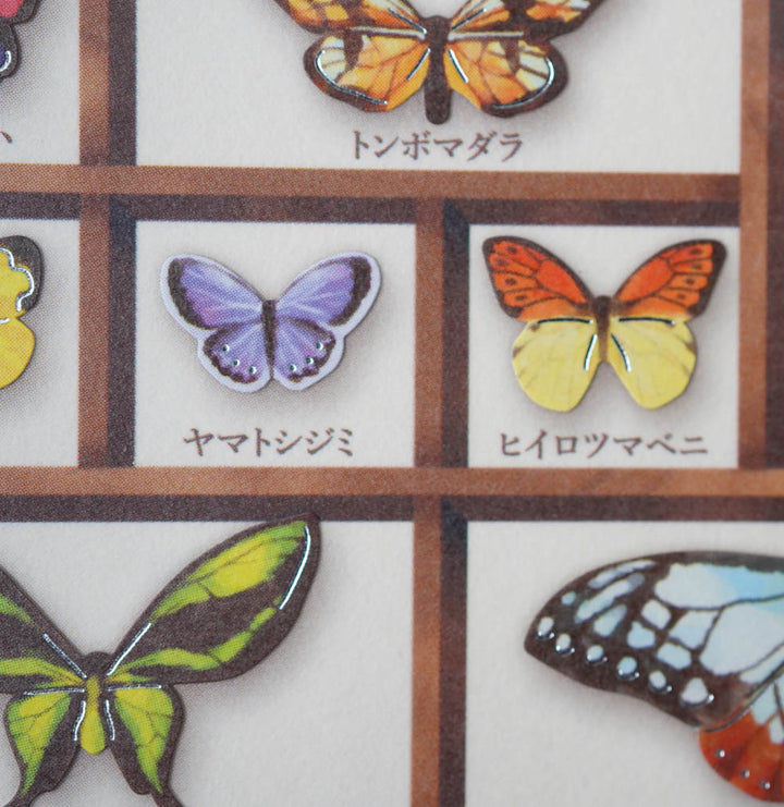 Mind Wave Specimen Box Seal - World of Butterflies