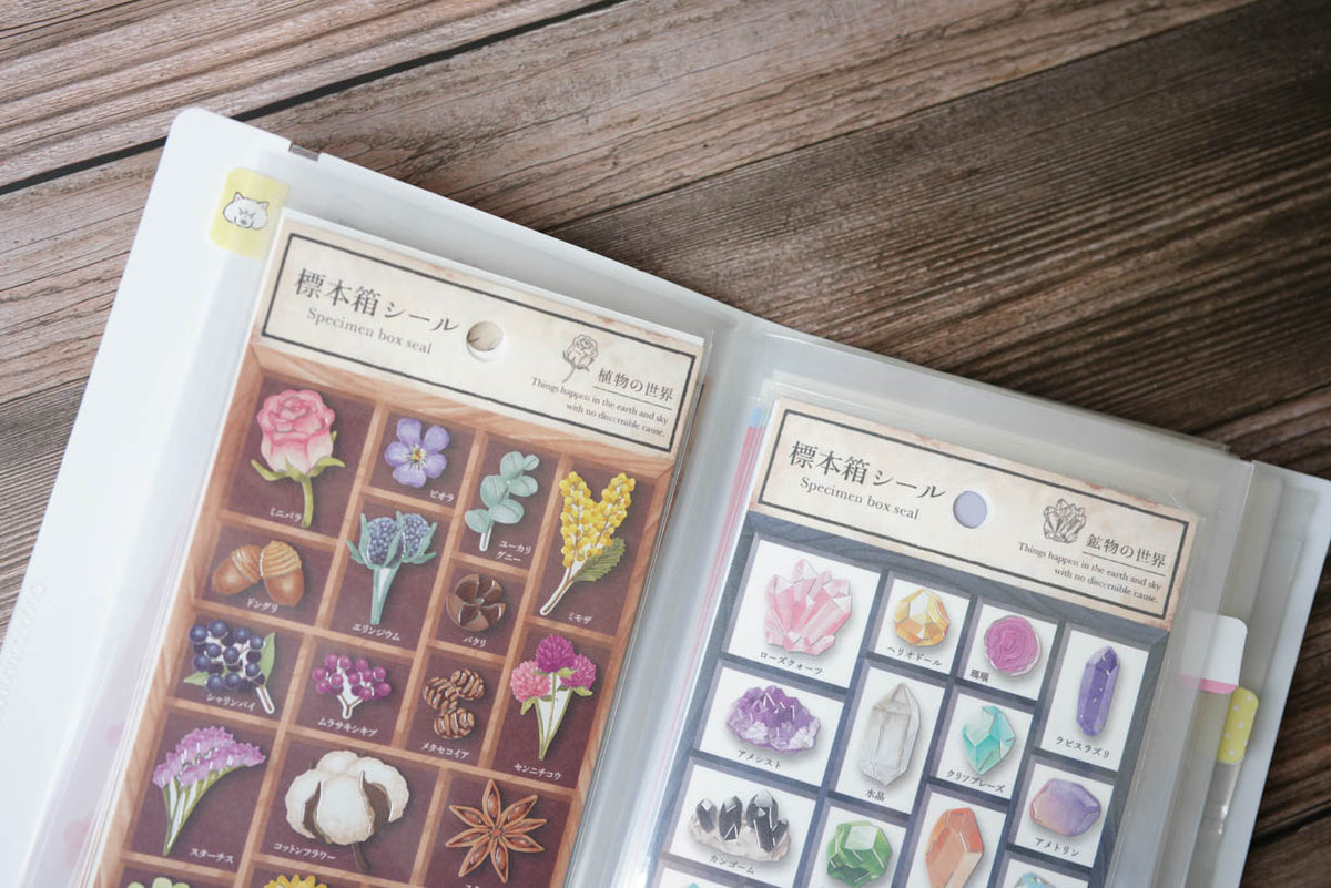 Mind Wave Sticker Storage File