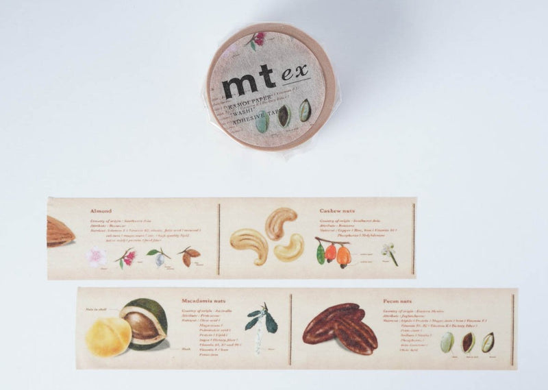 MT Washi Tape - Encyclopedia Nuts