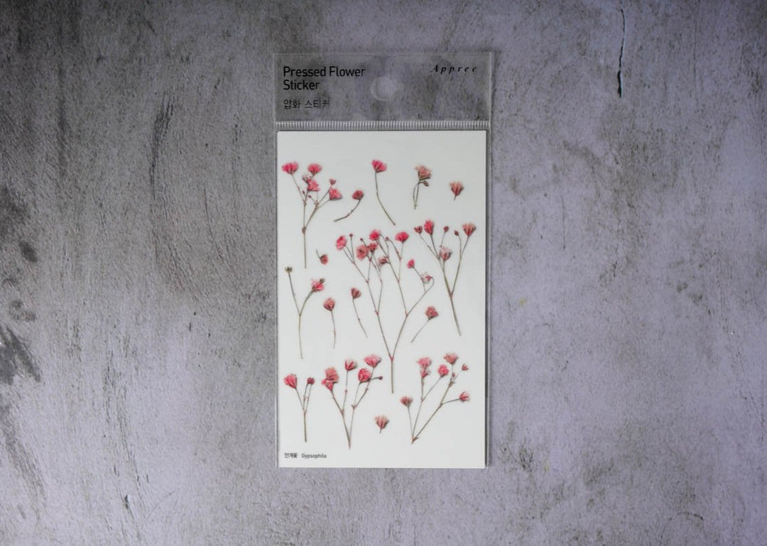 Appree Pressed Flower Stickers - Gypsophila