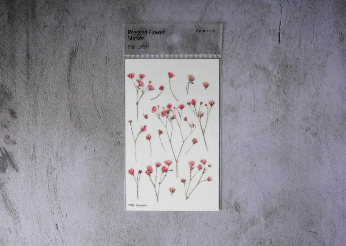 Appree Pressed Flower Stickers - Gypsophila