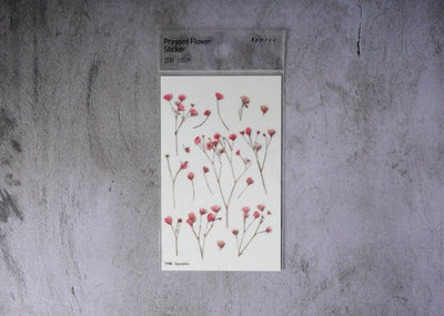 Appree Pressed Flower Stickers - Gypsophila