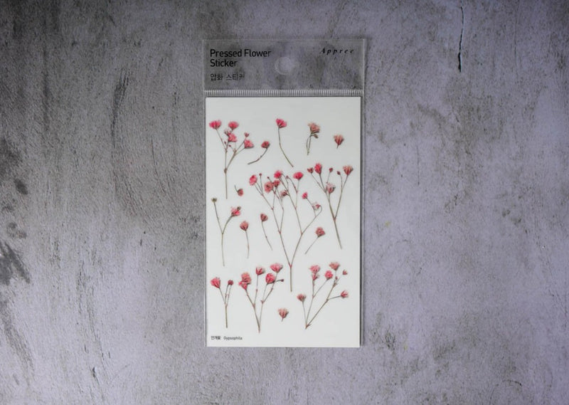 Appree Pressed Flower Stickers - Gypsophila