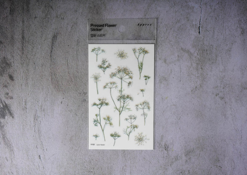 Appree Pressed Flower Stickers - Lace flower
