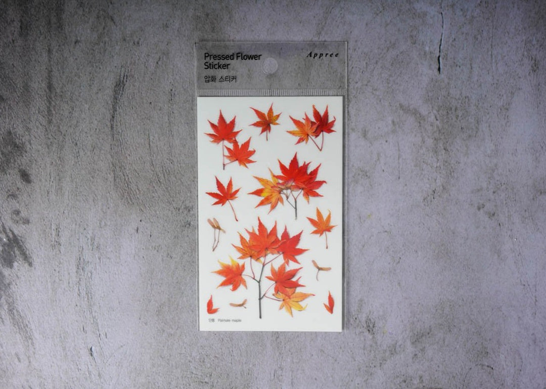 Appree Pressed Flower Stickers - Palmate Maple