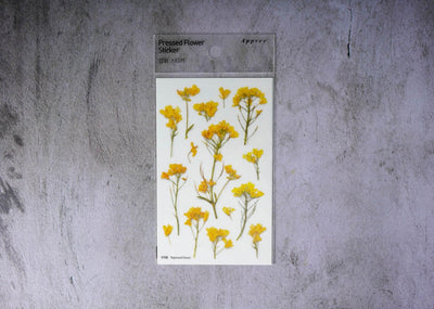Appree Pressed Flower Stickers - Rapeseed Flower