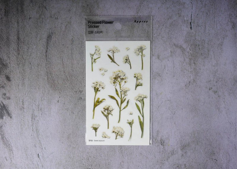 Appree Pressed Flower Stickers - Sweet alyssum